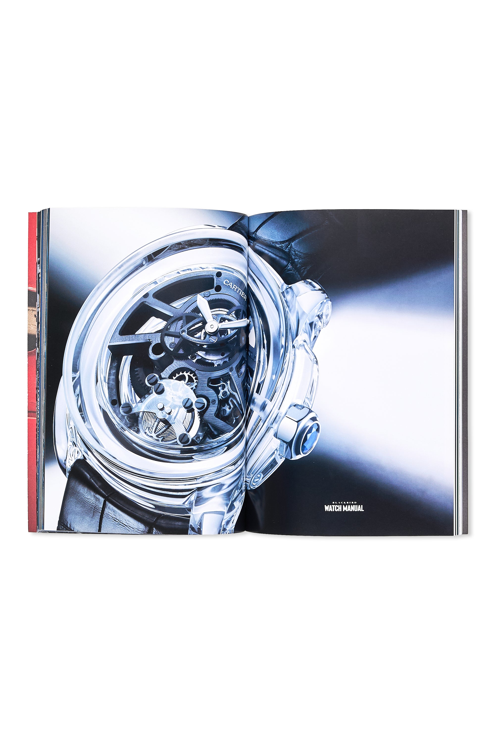 Blackbird Watch Manual Vol.1