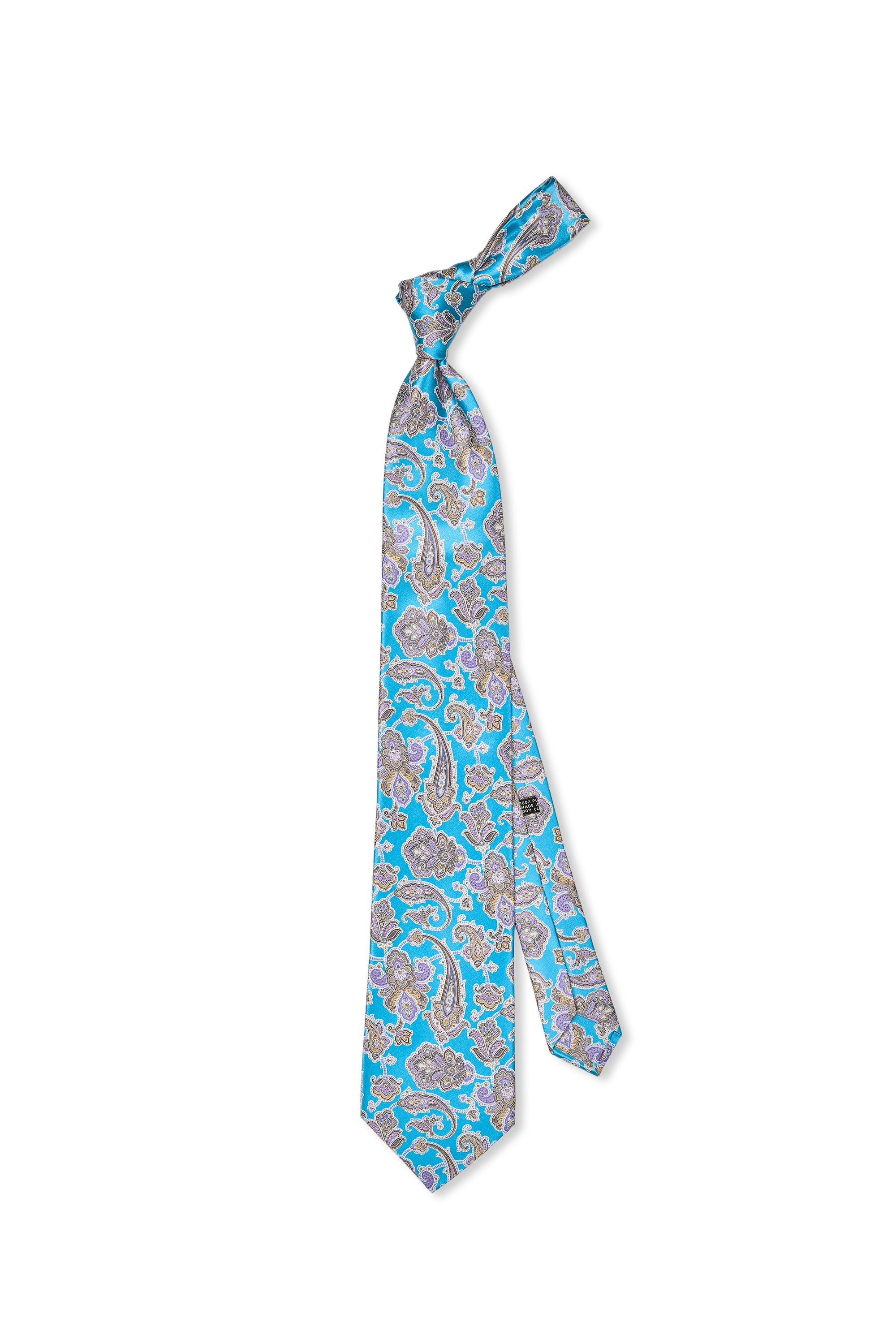 Stefano Ricci	Aqua with Brown/Purple Paisley Pattern Silk Tie